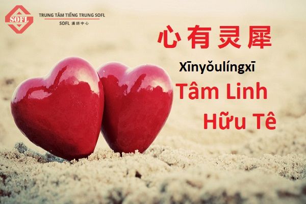 心有灵犀 - Tâm linh hữu tê