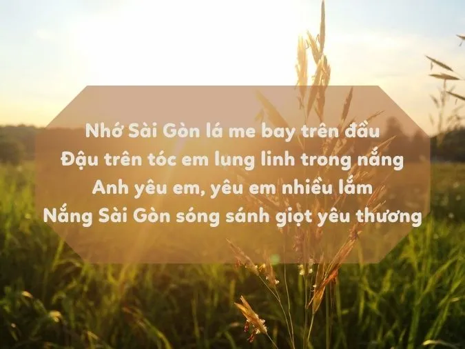 Top 30+ bài thơ hay về Nắng 11