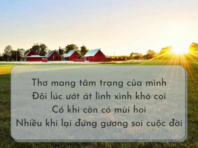 Top 30+ bài thơ hay về Nắng 13