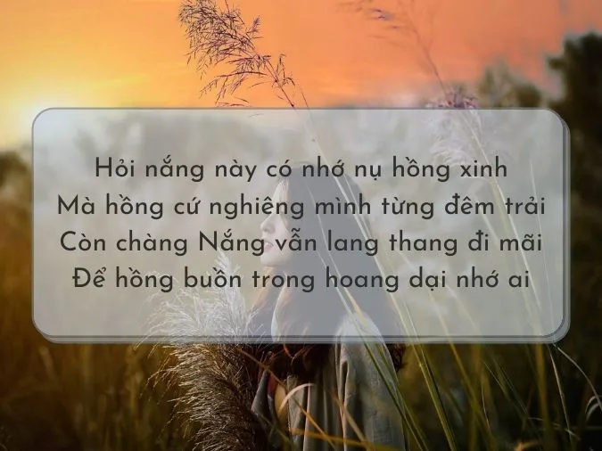 Top 30+ bài thơ hay về Nắng 14