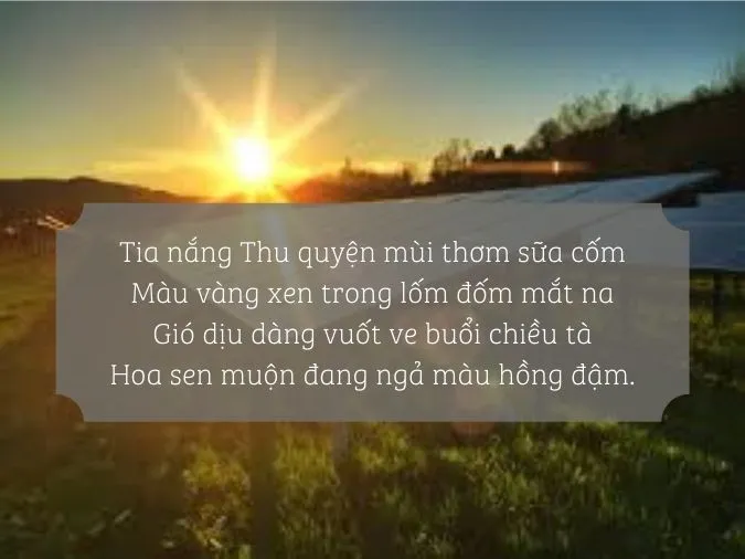 Top 30+ bài thơ hay về Nắng 5