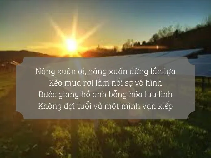 Top 30+ bài thơ hay về Nắng 6