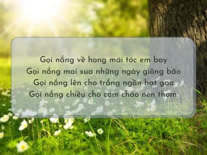 Top 30+ bài thơ hay về Nắng 7