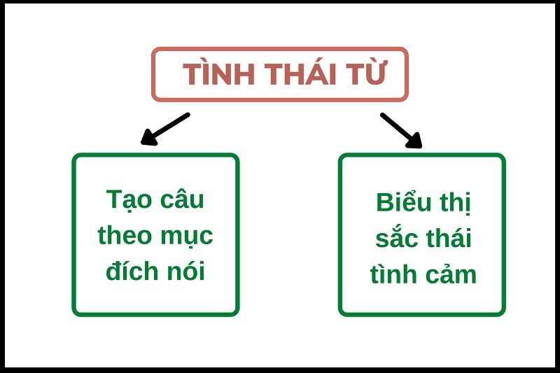 Tình thái từ