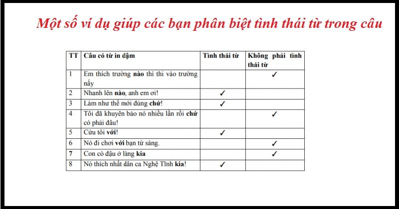 Tình thái từ