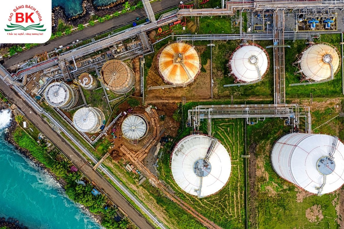 Khối D07 mở ra cơ hội trong lĩnh vực Khoa học Tự nhiên và Môi trường