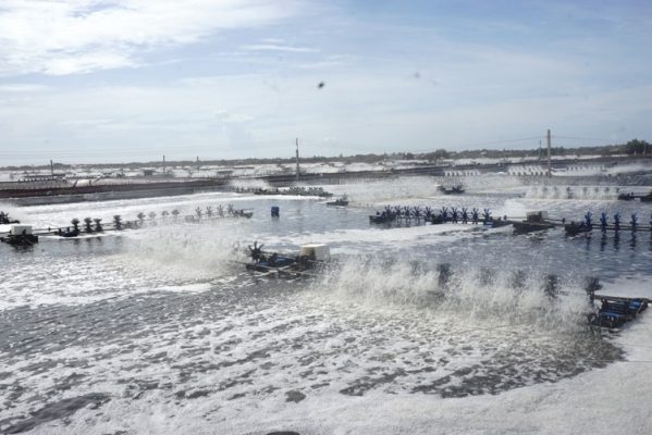 Giải Pháp Tối Ưu: Cách Ổn Định Môi Trường Thay Thế