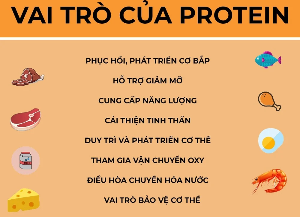 Vai trò peptit và protein