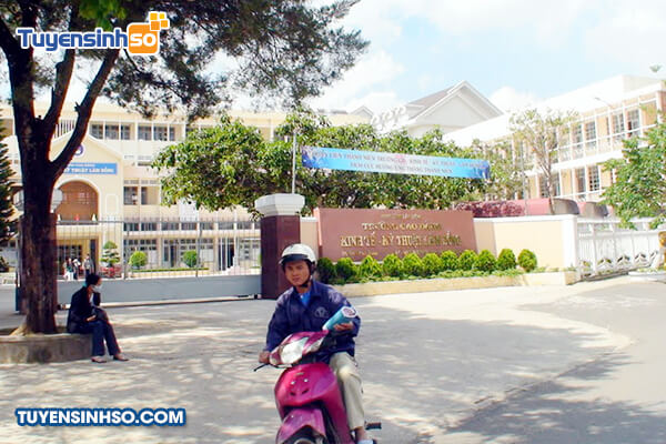 truong cao dang kinh te ky thuat lam dong 2