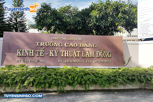 truong cao dang kinh te ky thuat lam dong