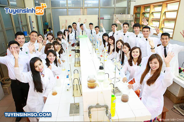 truong dai hoc quan ly va cong nghe hai phong 2