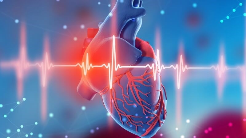 Khi thừa cân, dáng người đồng hồ cát dễ có nguy cơ mắc bệnh tim mạch