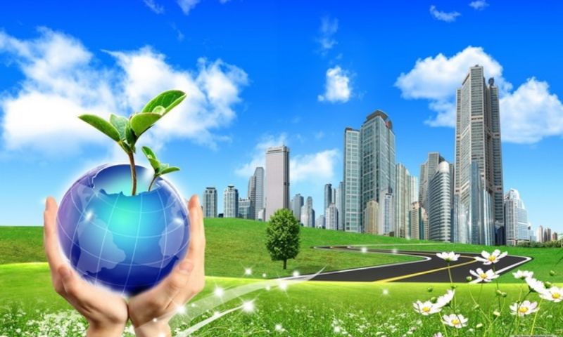 Vai trò của thực vật đối với con người