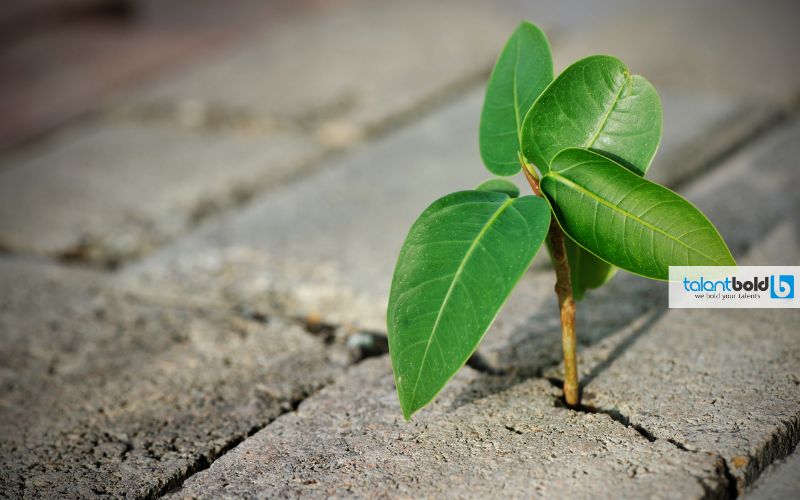 Phân loại nhóm nghịch cảnh