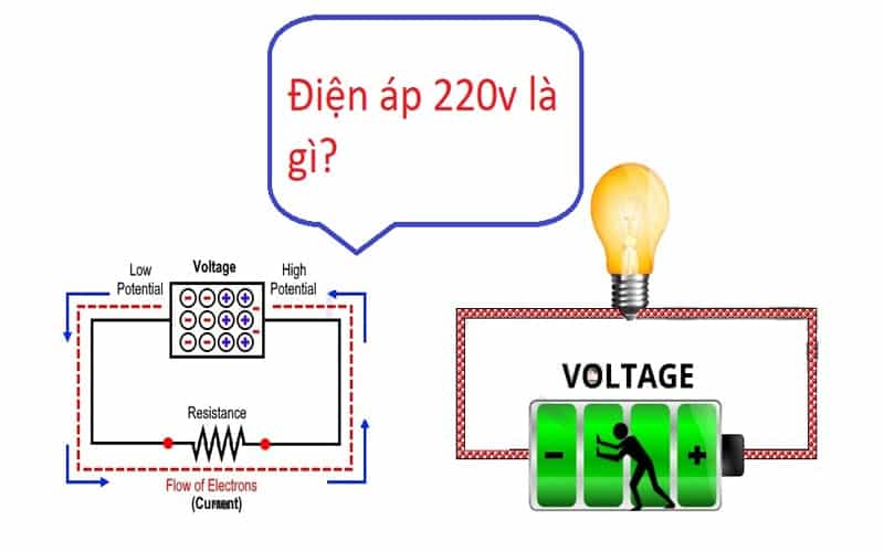 diep ap 220v