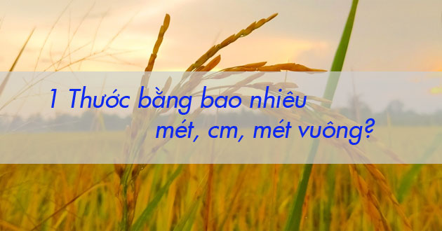 1 Thước bằng bao nhiêu mét
