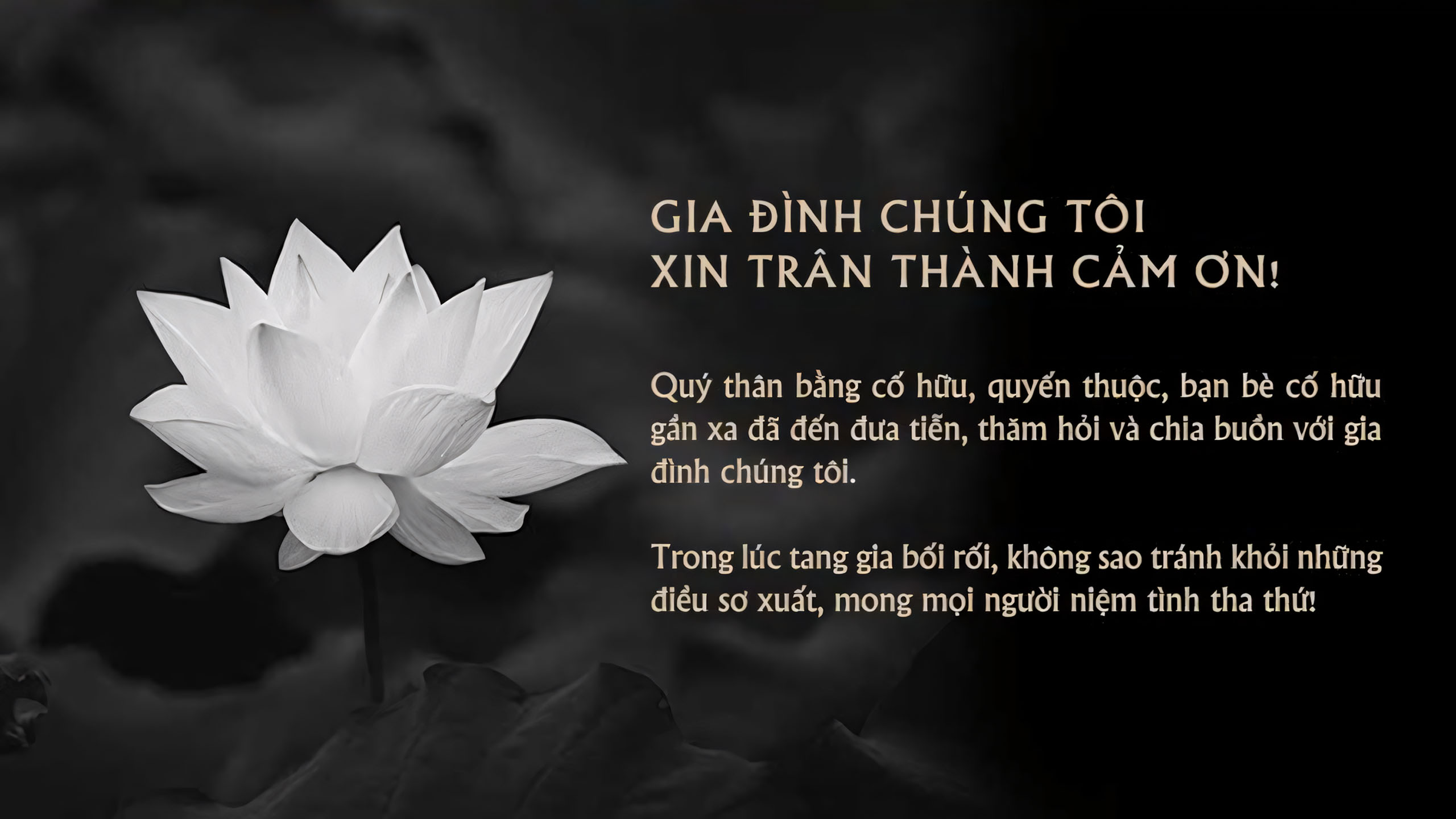 anh bao tin buon 25