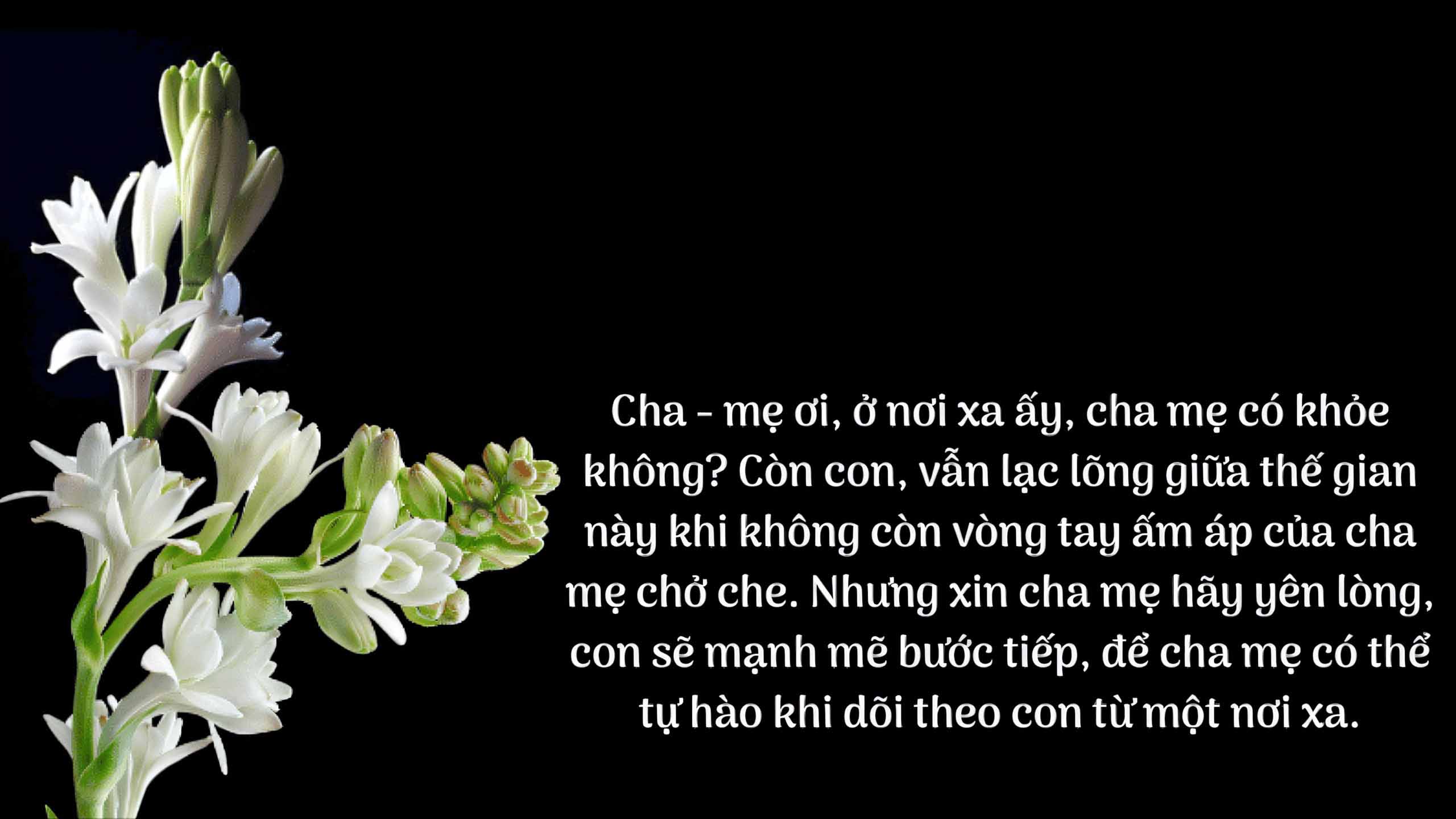 anh bao tin buon 27