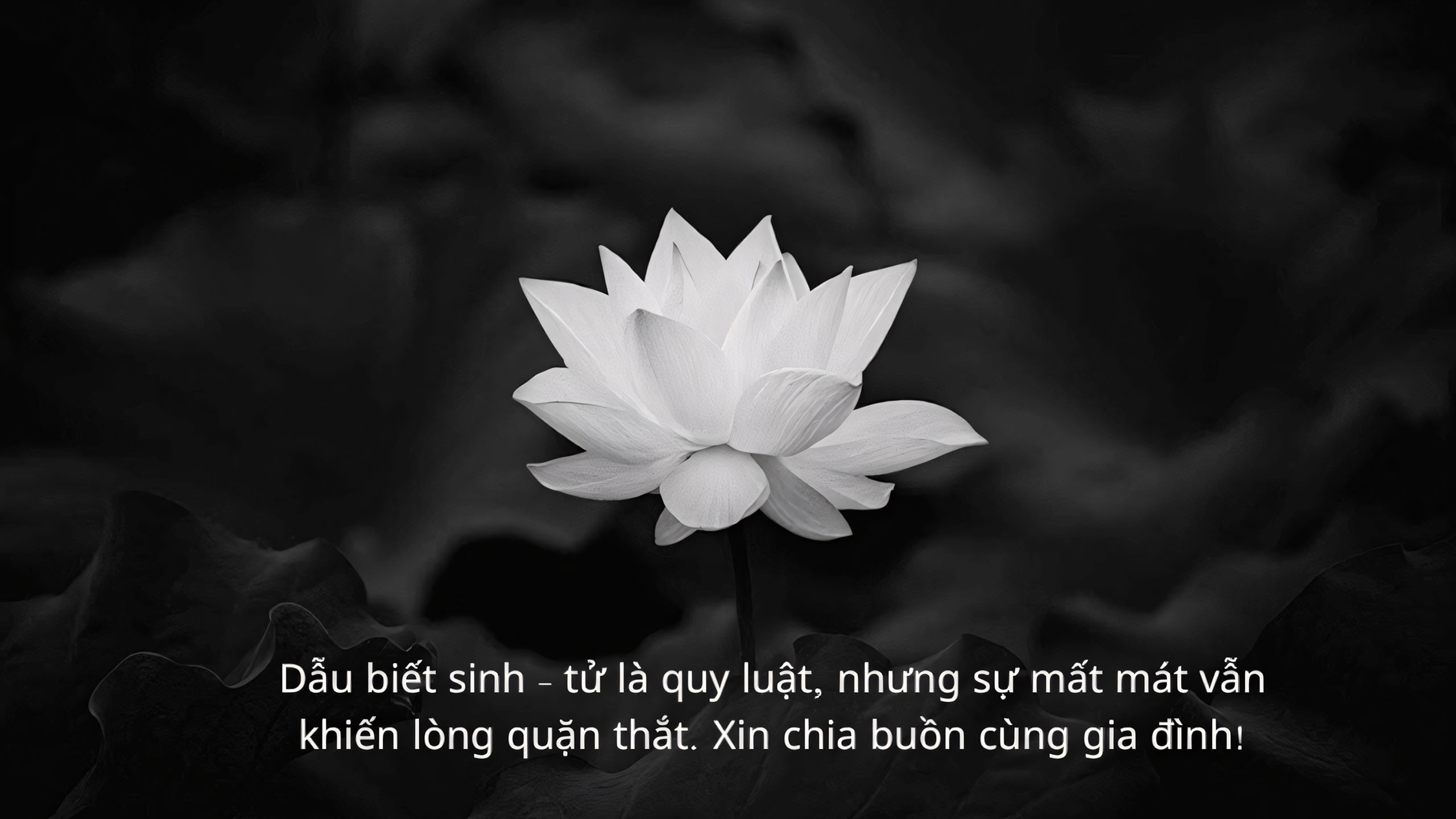 anh bao tin buon 45