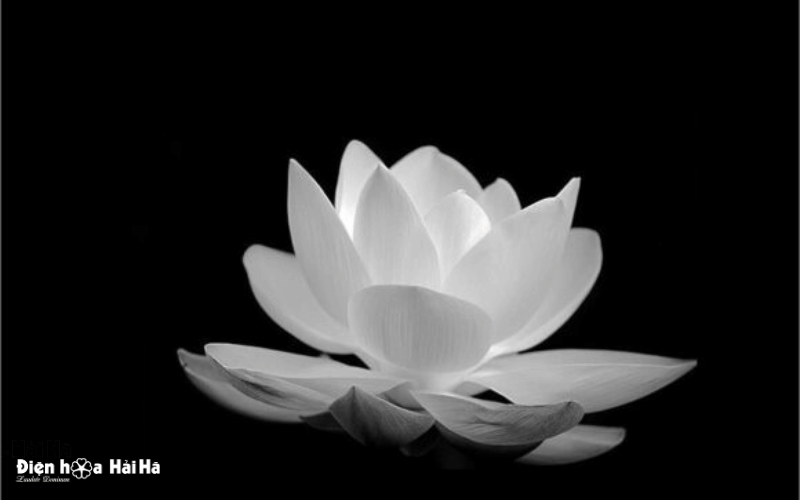 Hình ảnh đám tang buồn - Nỗi nhớ khắc sâu