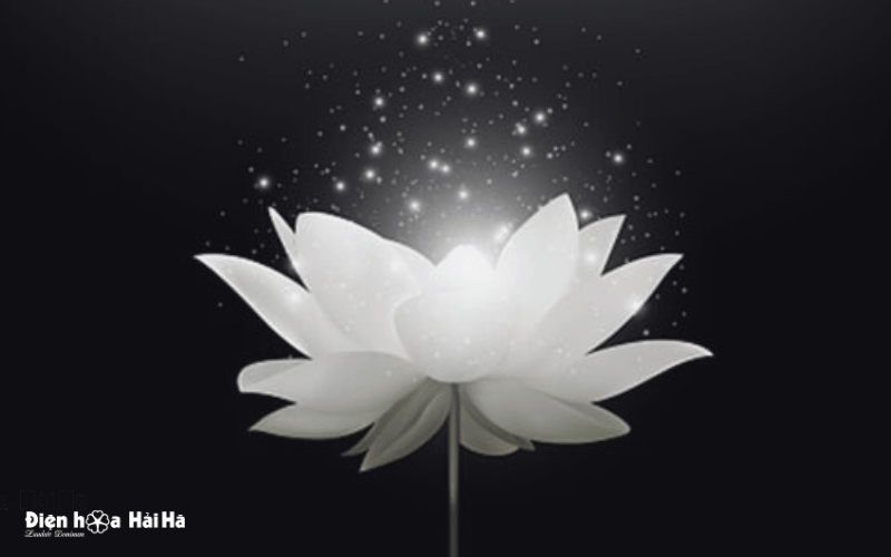Hoa sen trắng hình đại diện buồn đám tang
