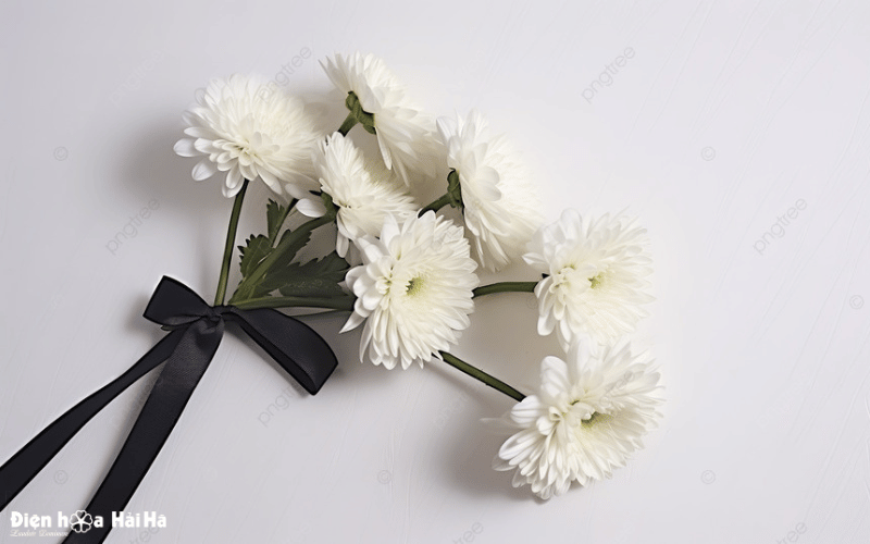 Ảnh đại diện hình nền hoa cúc trắng đám tang