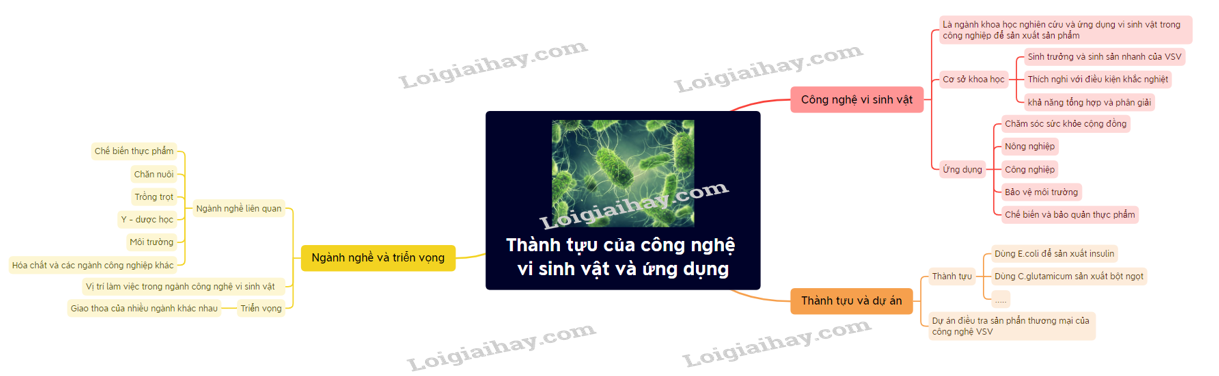 Lý thuyết thành tựu của công nghệ vi sinh vật và ứng dụng của vi sinh vật - Sinh 10 Cánh diều</>