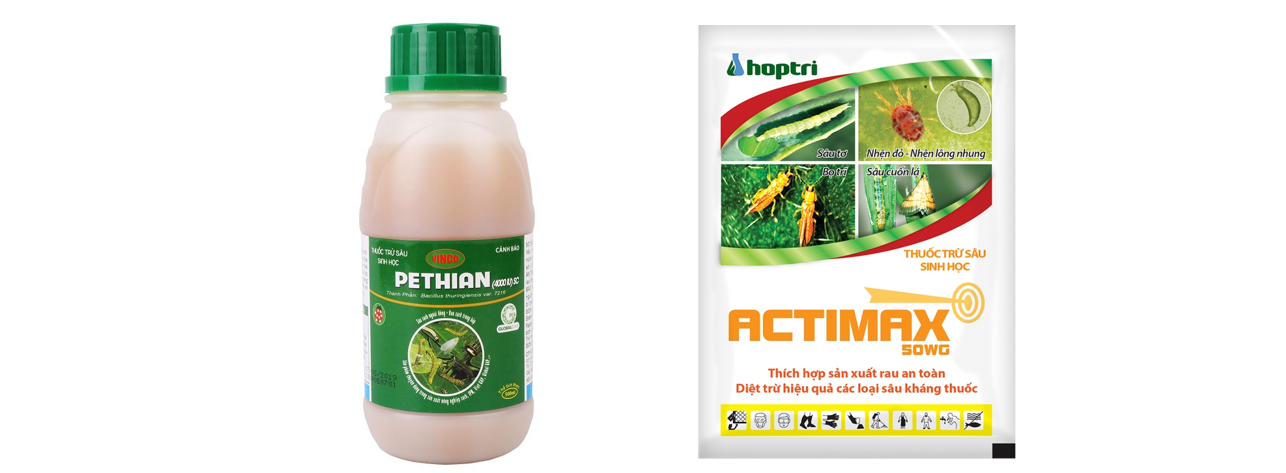 Lý thuyết thành tựu của công nghệ vi sinh vật và ứng dụng của vi sinh vật - Sinh 10 Cánh diều</>