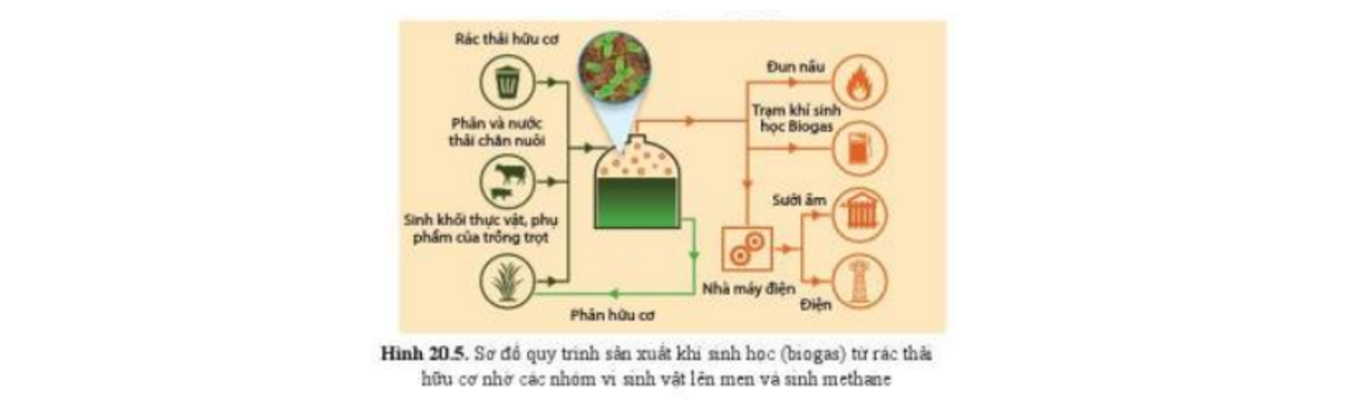 Lý thuyết thành tựu của công nghệ vi sinh vật và ứng dụng của vi sinh vật - Sinh 10 Cánh diều</>