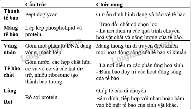 Bài 7. Tế bào nhân sơ trang 44, 45, 46, 47 Sinh 10 Kết nối tri thức</>
