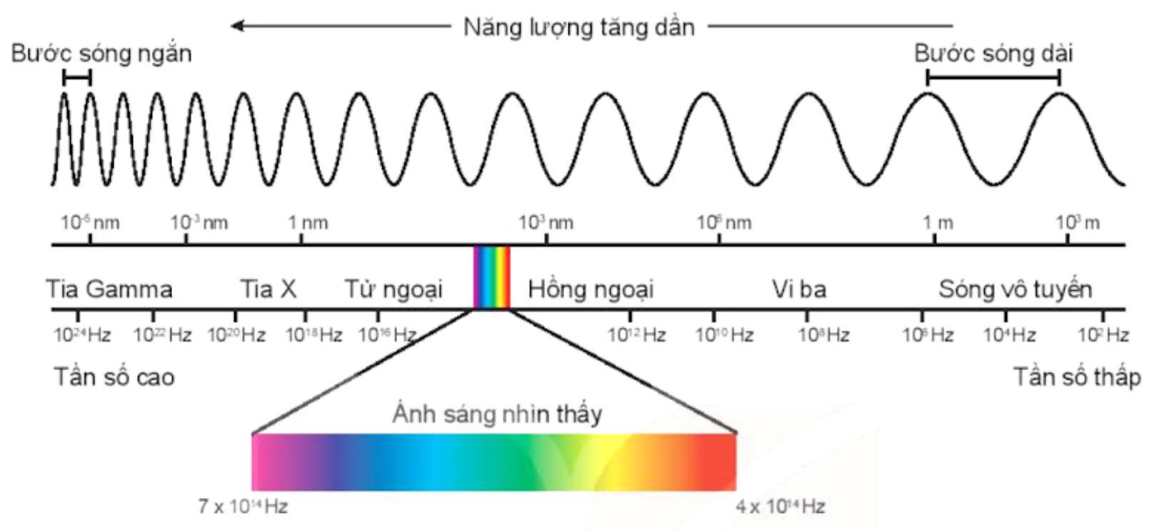 Các Dạng Bài Tập Về Sóng Điện Từ Vật Lí 11 Giải Chi Tiết