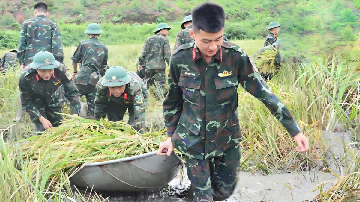 Bài thơ về nghề nghiệp bộ đội đầy hiên ngang