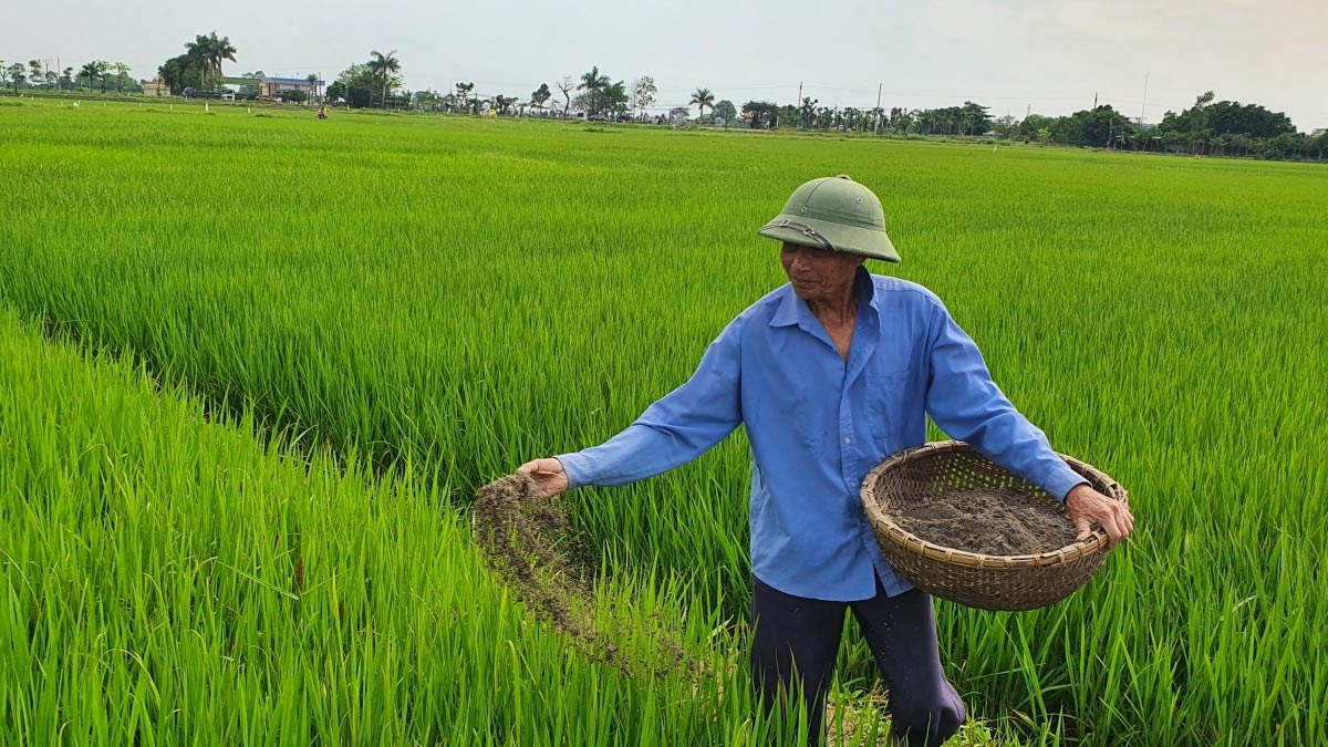 Bài thơ tôn vinh nghề nông tần tảo