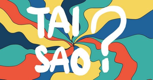 Mua Bằng Đại Học Văn Lang Giá Gốc Phôi Thật Có Ngay