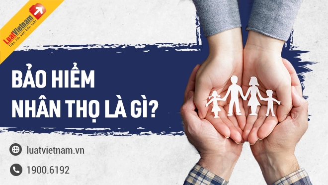 bao hiem nhan tho la gi