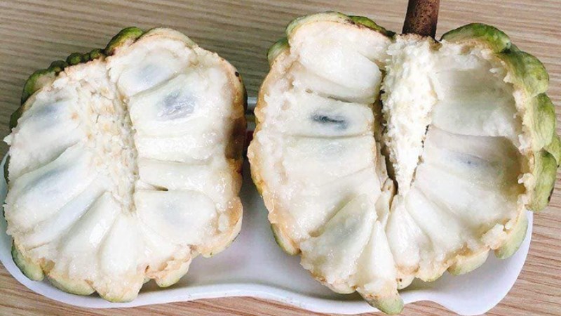 Vì sao cần bảo quản na cẩn thận?