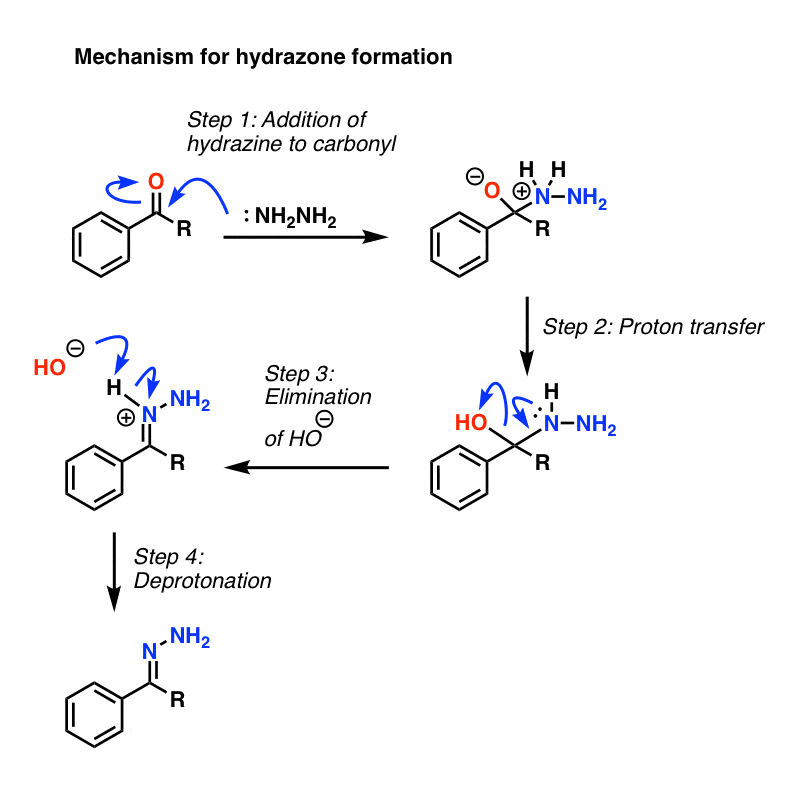 first step of wolff kishner reaction is formation of hydrazone intermediate