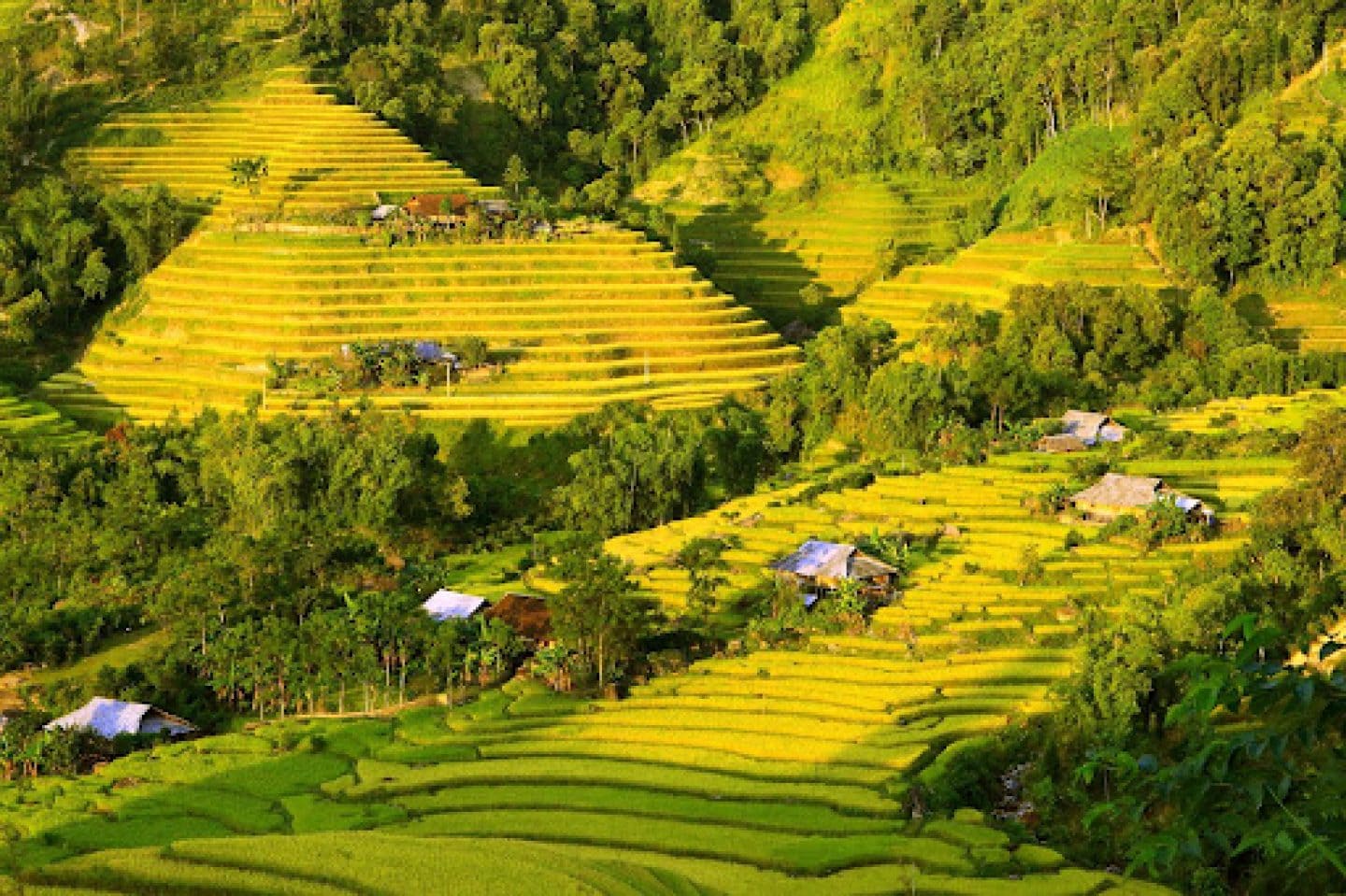 Biện pháp bảo vệ đất trồng ở đồi núi nước ta là gì? Mục đích của từng biện pháp