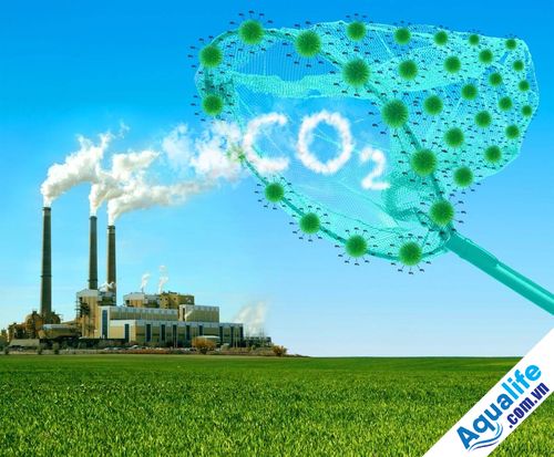 biện pháp khắc phục hiệu ứng nhà kính