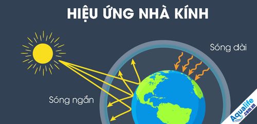 Hiệu ứng nhà kính