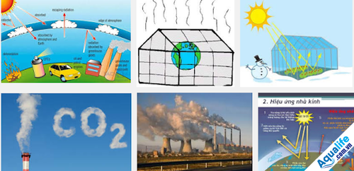 biện pháp giản hiệu ứng nhà kính