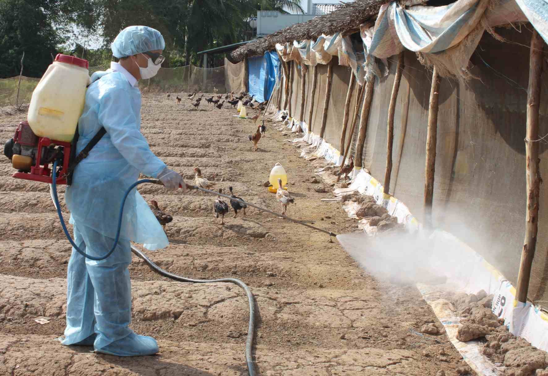 Những ứng dụng của phenol trong cuộc sống
