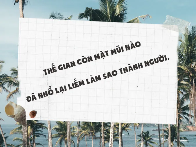 ca-dao-cham-biem-voh-1