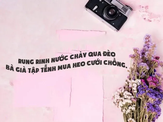 ca-dao-cham-biem-voh-4