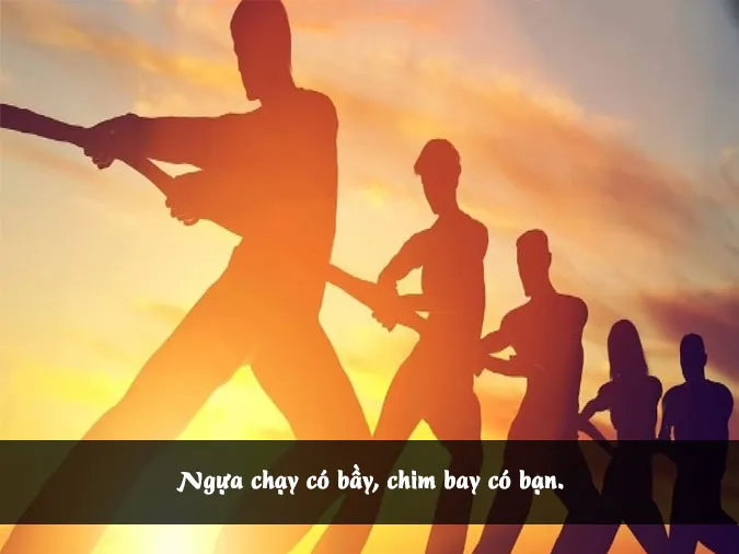 tuc-ngu-ve-doan-ket-voh-2