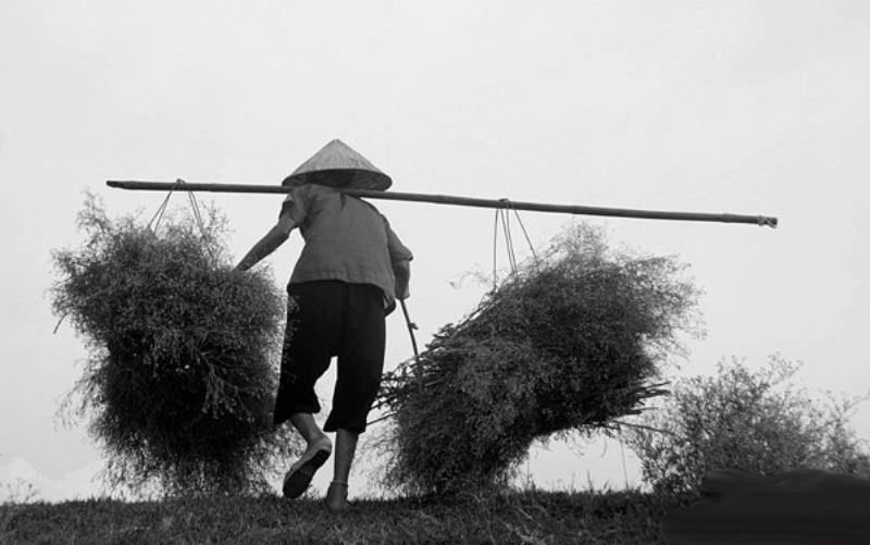 tong-hop-cac-cau-ca-dao-tuc-ngu-ve-me-04