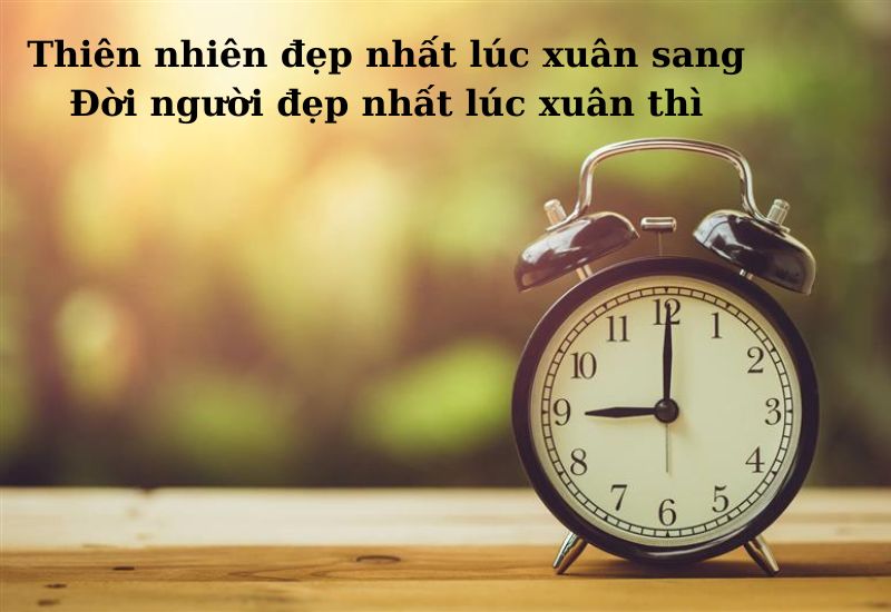 câu tục ngữ về thời gian