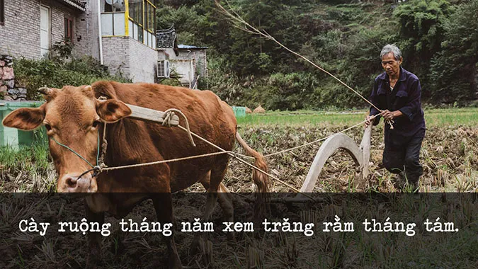 122 câu ca dao, tục ngữ về thời tiết, khí hậu 3