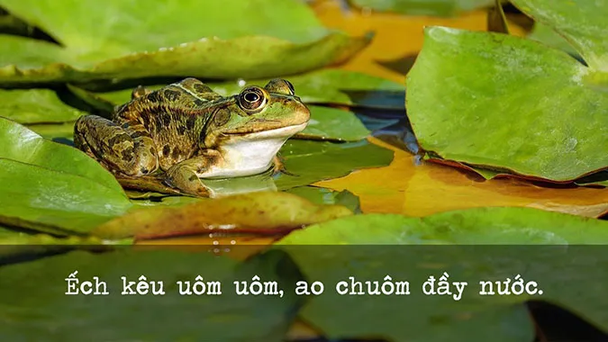 122 câu ca dao, tục ngữ về thời tiết, khí hậu 4