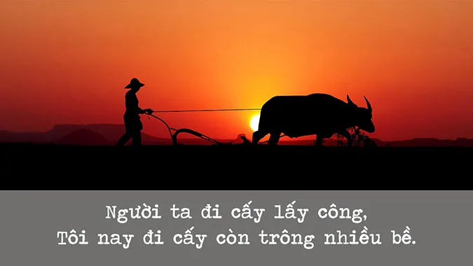 122 câu ca dao, tục ngữ về thời tiết, khí hậu 6